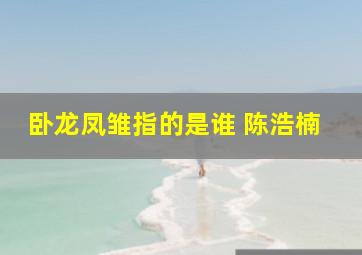 卧龙凤雏指的是谁 陈浩楠